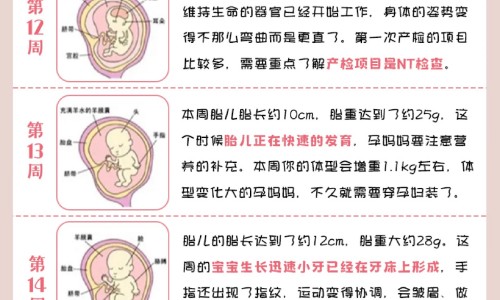怀孕前一个月吃小苏打片网-分享怀孕前一个月吃小苏打片可以吗，孕妇早期吃小苏打应注意什么知识库