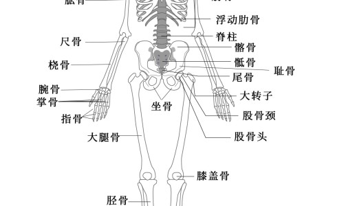 孕妇早期吃小苏打应注意什么-怀孕前一个月吃小苏打片网-分享怀孕前一个月吃小苏打片可以吗，孕妇早期吃小苏打应注意什么知识库