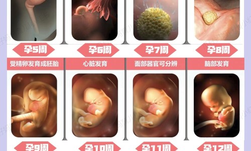 怀孕前一个月吃小苏打片网-分享怀孕前一个月吃小苏打片可以吗，孕妇早期吃小苏打应注意什么知识库