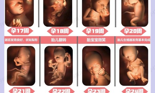 怀孕前一个月吃小苏打片网-分享怀孕前一个月吃小苏打片可以吗，孕妇早期吃小苏打应注意什么知识库